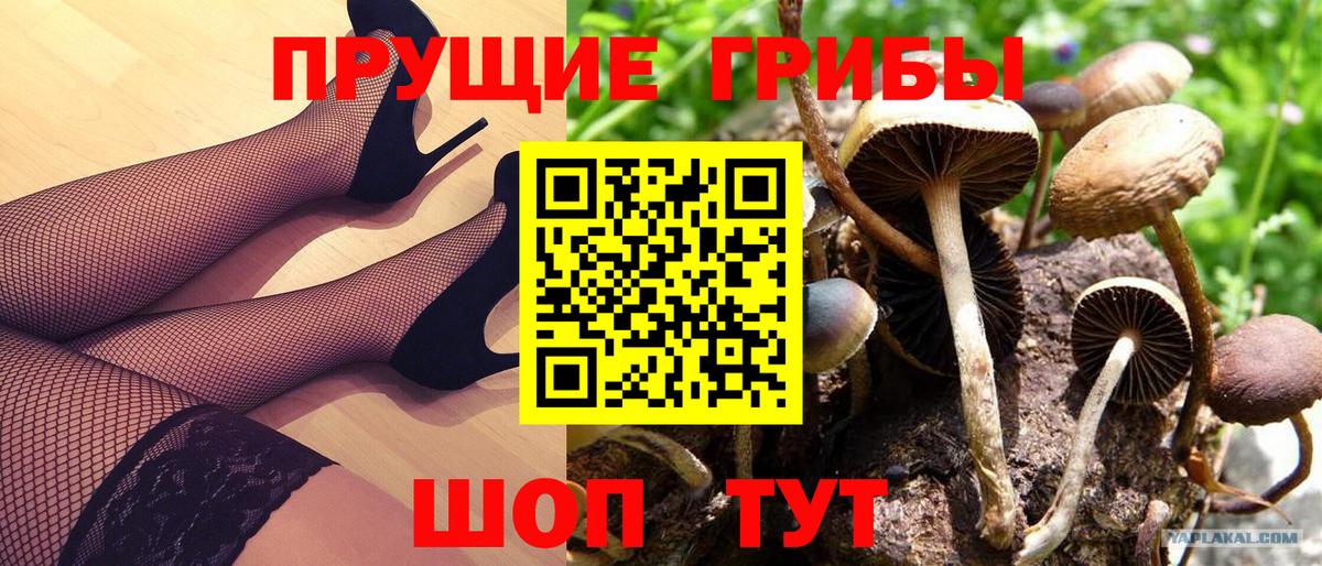 Псилоцибиновые грибы Magic Shrooms  Псилоцибиновые грибы ЛСД  Вход с VPN  Гурьевск 