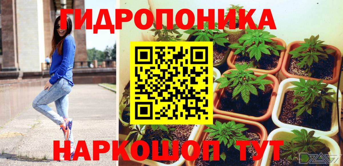 Бошки марихуана конопля  Вход с VPN  Шишки марихуана индика  Шишки марихуана AK-47  Шишки марихуана индика  Гурьевск 